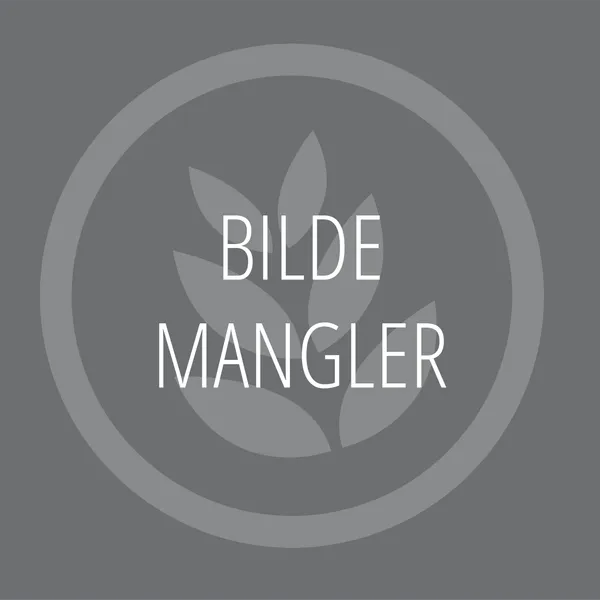 Tidsur til Pizzamaster ED-ovner