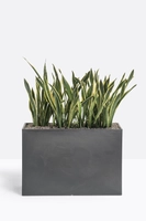 KADO2 blomsterkasse