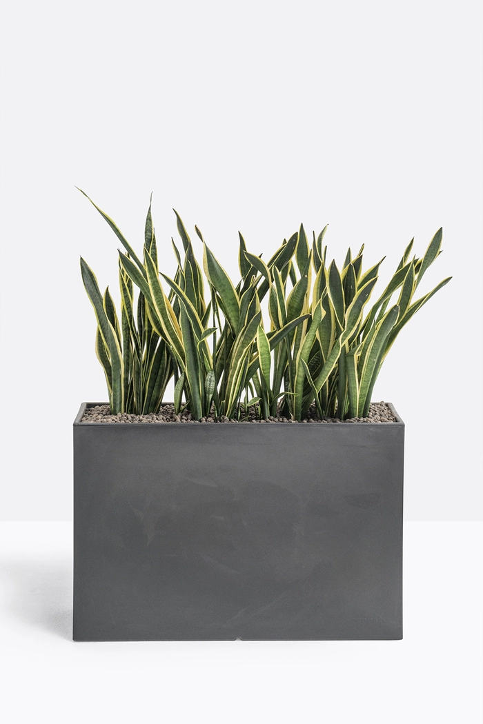 KADO2 blomsterkasse
