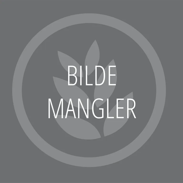 Innbrenning av Pizzamaster xx1-xx3